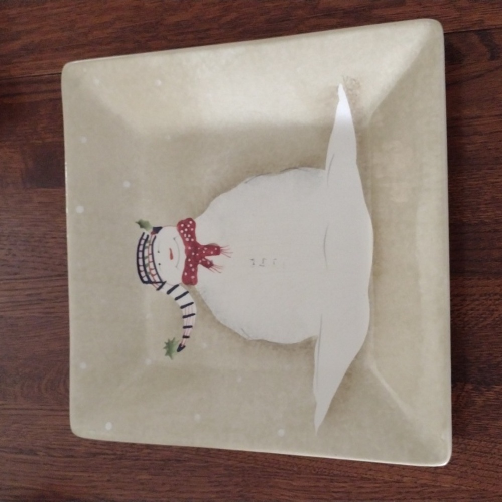 Oneida Earthenware Snowmates Serving Platter Dinner Plate b825